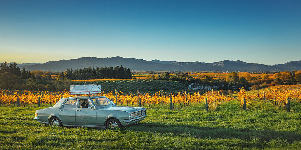 Dog Point Vineyard in Marlborough, New Zealand