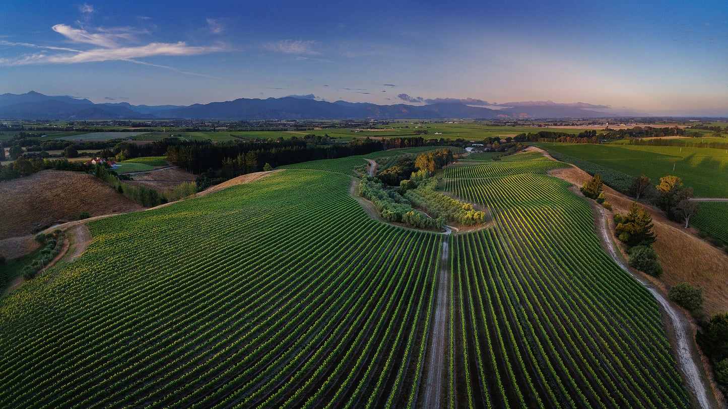 Dog Point Vineyard in Marlborough, New Zealand