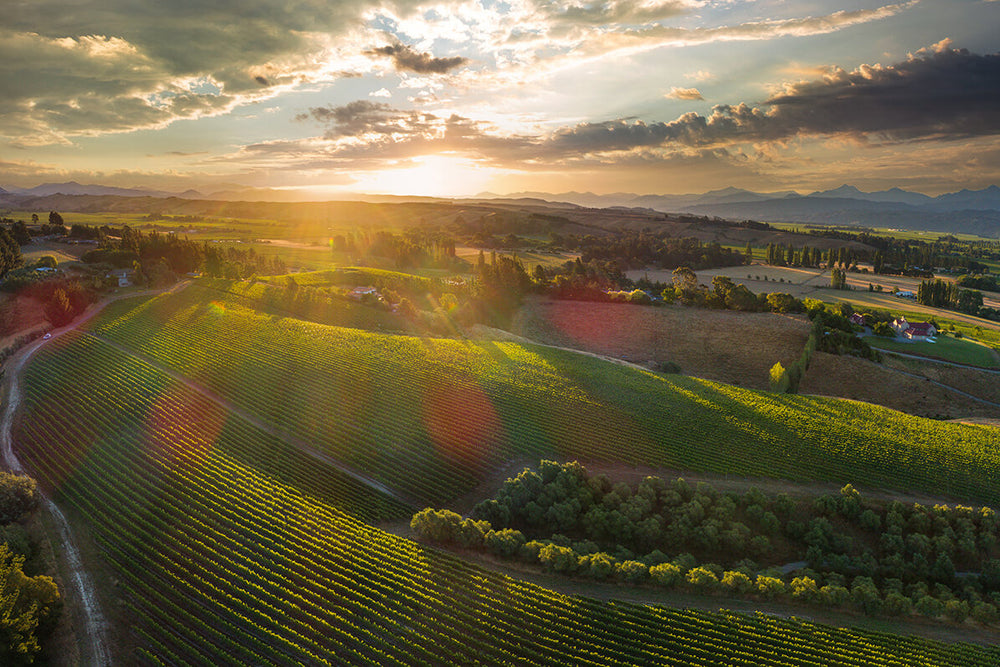 Dog Point Vineyard in Marlborough, New Zealand