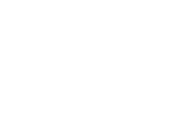 Dog Point Vineyard Reverse Logo